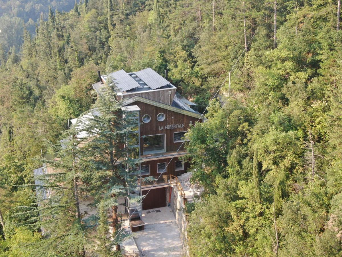 La Forestale Luxury Ecolodge B&B Primo Piano アックアラーニャ エクステリア 写真